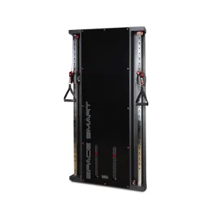 SpaceSmart Double Stack Wall-Mounted Functional Trainer, Black - Optimized for Compact Spaces